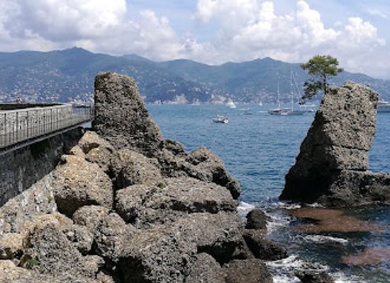 italy/portofino/attraction/pino-d-aleppo