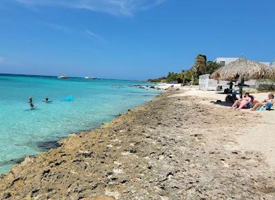 aruba/tanki-leendert/attraction/boca-catalina-beach