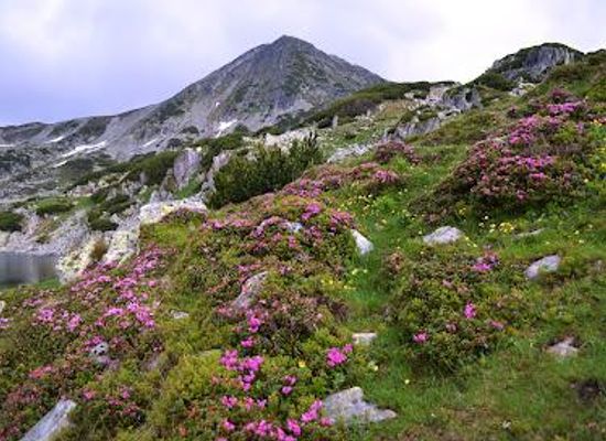romania/targu-jiu/attraction/retezat-national-park