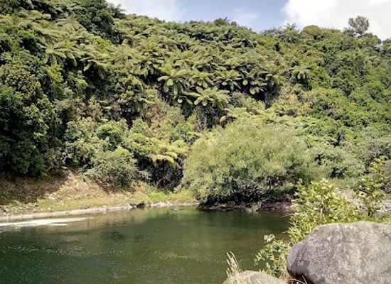 new-zealand/taranaki/attraction/tupare