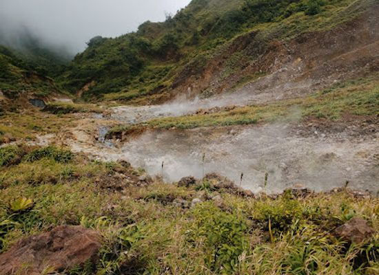 dominica/saint-david/attraction/valley-of-desolation