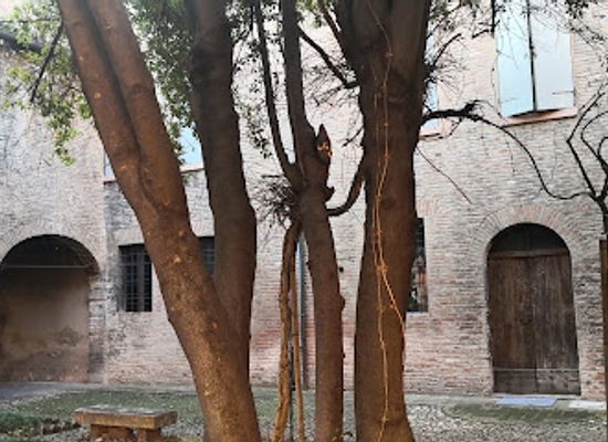 italy/modena/attraction/aedes-muratoriana
