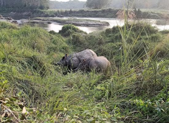 nepal/chitwan/sauraha/attraction/mowgli-s-eco-adventure-tour