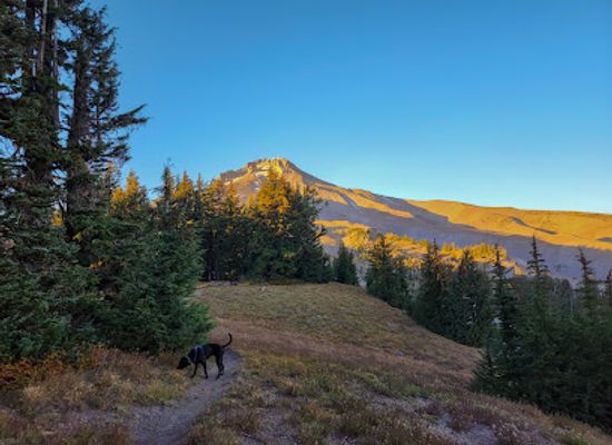 oregon/hood-river-county/attraction/mt-hood-view-point