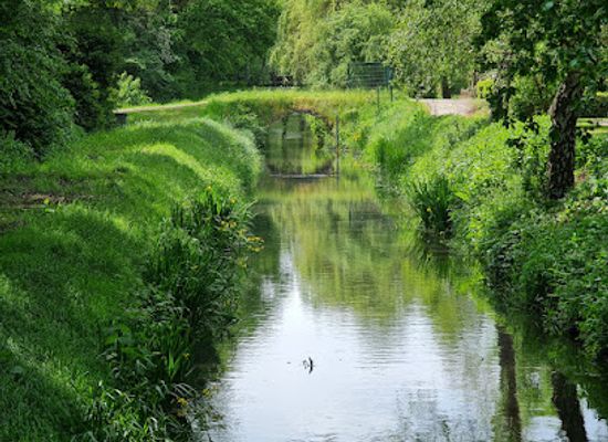 germany/bremen/attraction/rhododendron-park-bremen