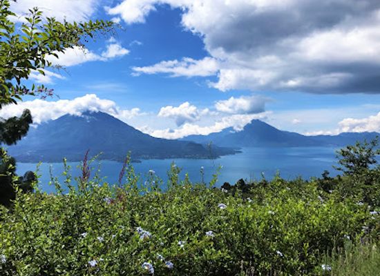 guatemala/pacific-lowlands/attraction/lavanda-guatemala