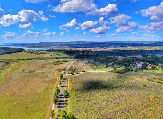 hungary/transdanubia/attraction/lavender-field