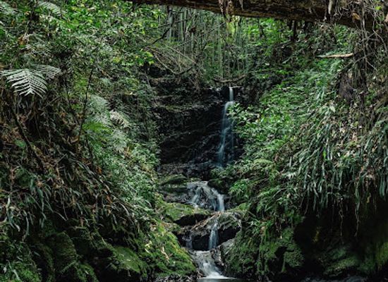 japan/aki/attraction/ioki-cave