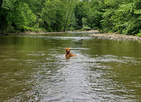 ohio/western-reserve/attraction/jackson-field