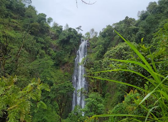 tanzania/kilimanjaro-region/attraction/materuni-trekking-and-coffee-tour