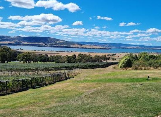 australia/hobart/attraction/coal-valley-vineyard