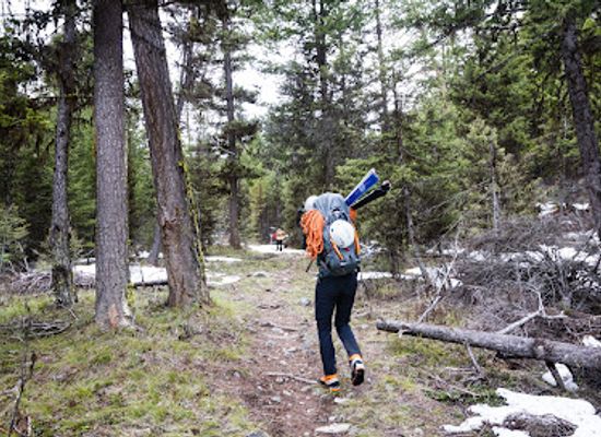 montana/bitterroot-national-forest/attraction/chaffin-creek-trail
