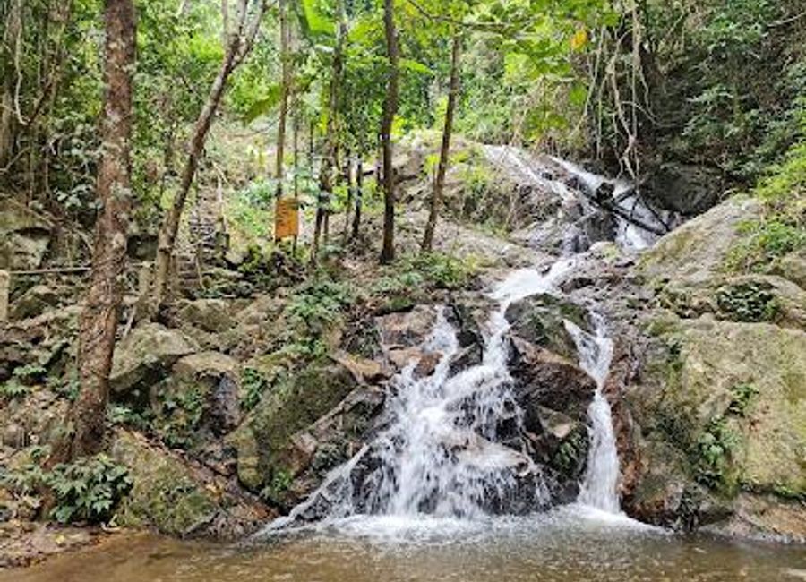 Experience the natural beauty and tranquility of Mae Kampong Waterfall, a must-visit destination in Chiang Mai's lush landscapes.