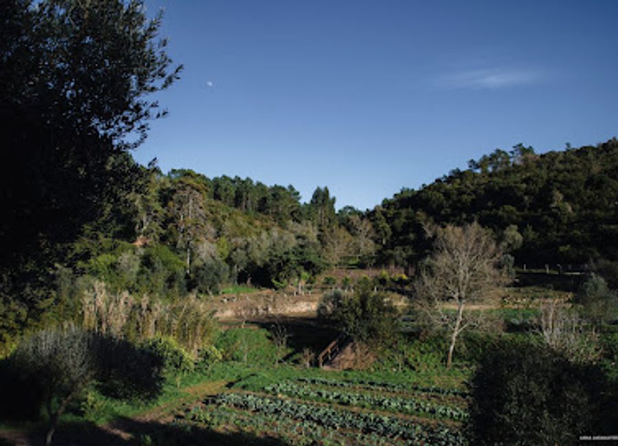 Discover the natural beauty and serenity of Quinta do Pisão, an enchanting park within the Sintra-Cascais Natural Park, perfect for outdoor adventures and relaxation.