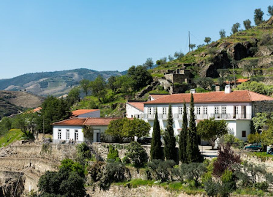 Explore the breathtaking Quinta do Panascal in Douro Valley for premium wine tastings and stunning vineyard views in Portugal's famed wine region.