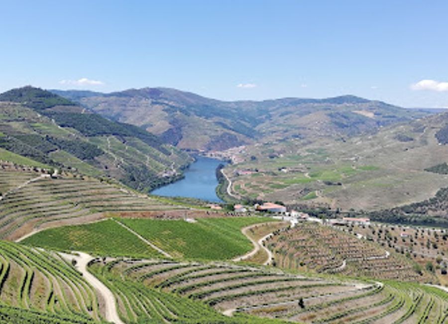 Discover breathtaking views of the Douro Valley at Miradouro da Estrada Nacional 222, a must-visit viewpoint for travelers to Portugal's scenic wine region.