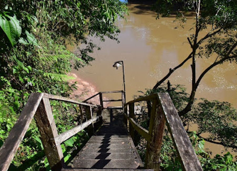 Discover the unparalleled biodiversity of the Amazon rainforest at Tiputini Biodiversity Station, a sanctuary for nature lovers and eco-adventurers.