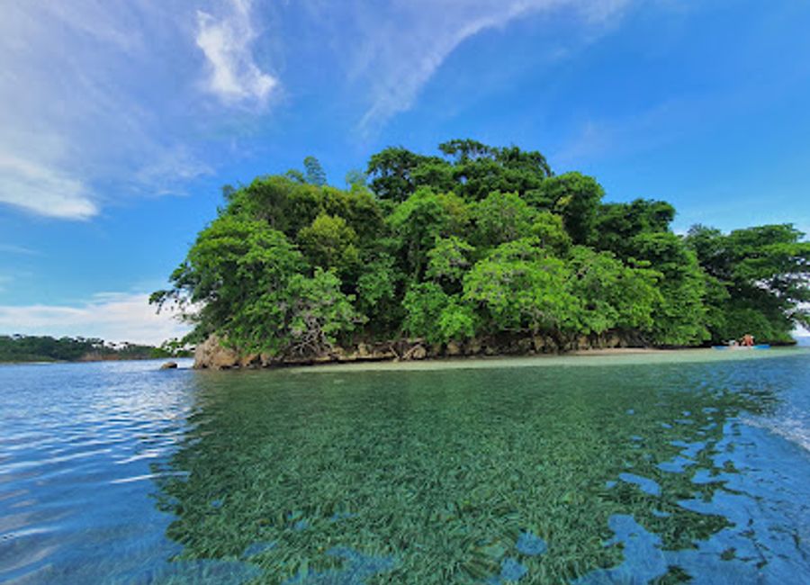 Explore the serene beauty of Pellew Island in Jamaica, where crystal-clear waters and untouched beaches await your discovery.
