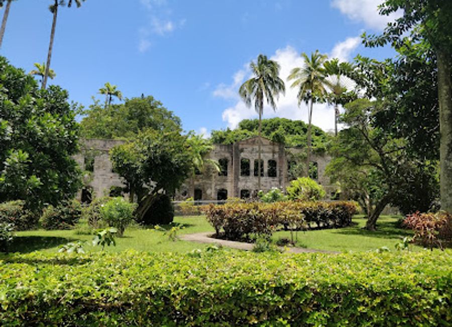 Discover the breathtaking landscapes and historical treasures of Farley Hill National Park, a serene escape in Barbados for nature lovers and adventurers alike.