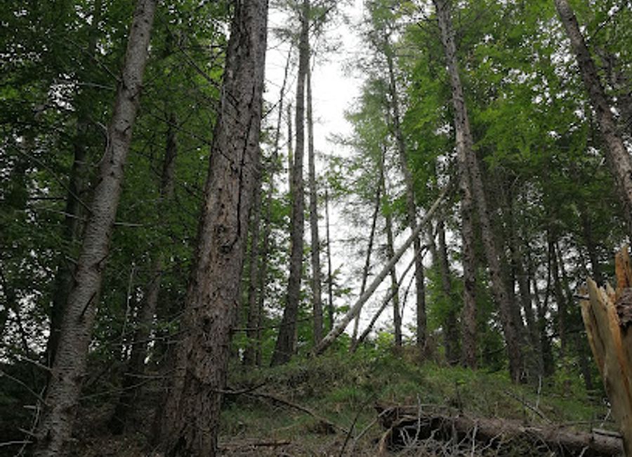 Explore Bykárka, a serene tourist attraction in Letanovce, where nature meets local culture in a picturesque Slovak setting.