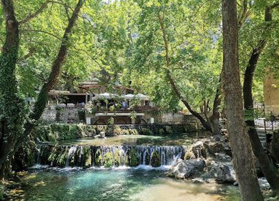 Discover the tranquility of Krya Park in Livadia, a beautiful green space perfect for relaxation and outdoor activities.