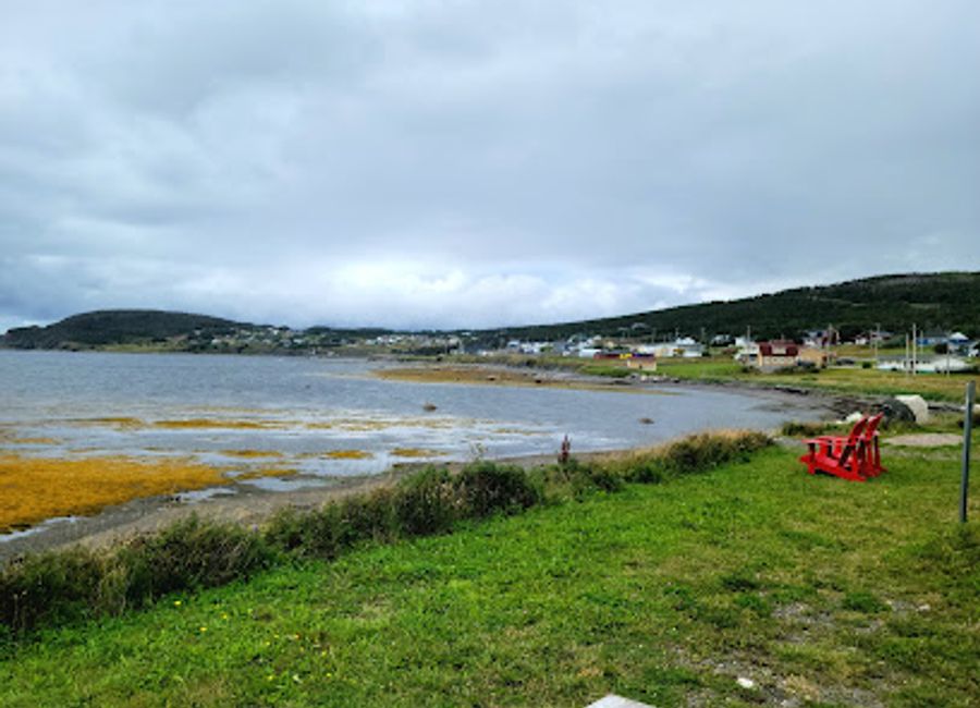 Explore the rich biodiversity of Newfoundland and Labrador at the Gros Morne Wildlife Museum in Rocky Harbour, a captivating destination for nature lovers.