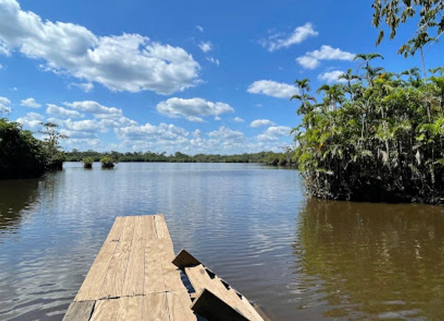 Explore the breathtaking beauty of Laguna Pañacocha, Ecuador's hidden gem with rich biodiversity and serene landscapes.