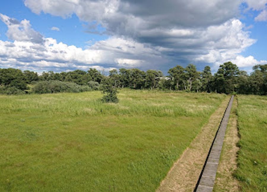 Discover the beauty of Saare County's avian life at the Kuressaare Birdwatching Tower, a serene observation deck for nature lovers.