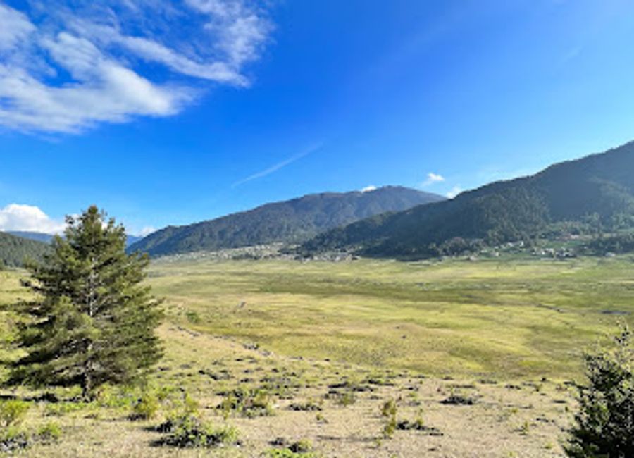 Explore the breathtaking Phobjikha Valley with its stunning observation deck showcasing lush landscapes and the majestic black-necked cranes in Bhutan.