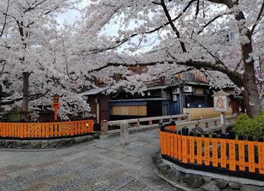 Discover the serene beauty of Gion Shinbashi Bridge, a picturesque landmark in Kyoto, steeped in culture and stunning natural scenery.