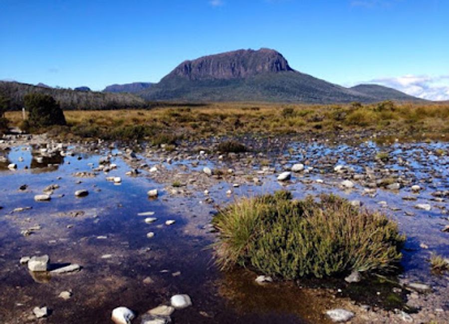 Find serenity on the Overland Track at Frog Flats, a picturesque valley offering rest and natural beauty in Tasmania's wilderness.
