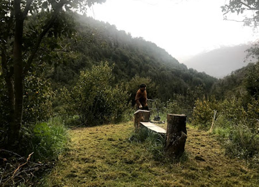 Explore the natural beauty and tranquility of Pumallen Park in Los Lagos, a perfect oasis for relaxation and outdoor adventures.