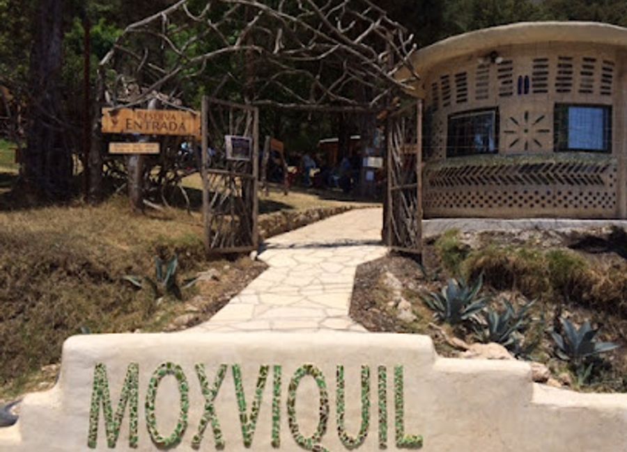 Explore the enchanting Moxviquil Ecological Reserve and Orchid Garden, a botanical haven in San Cristóbal de las Casas, rich in biodiversity and tranquility.