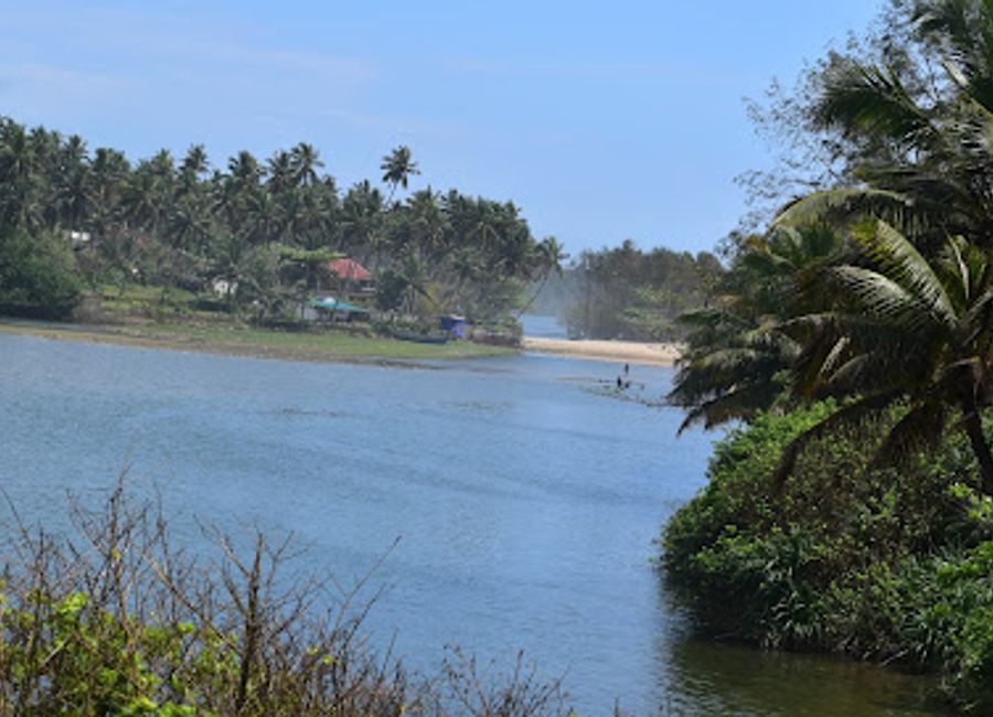 Discover the tranquil beauty of Lake Viewpoint in Kerala, where serene waters and lush landscapes create a perfect retreat for nature lovers and photographers.