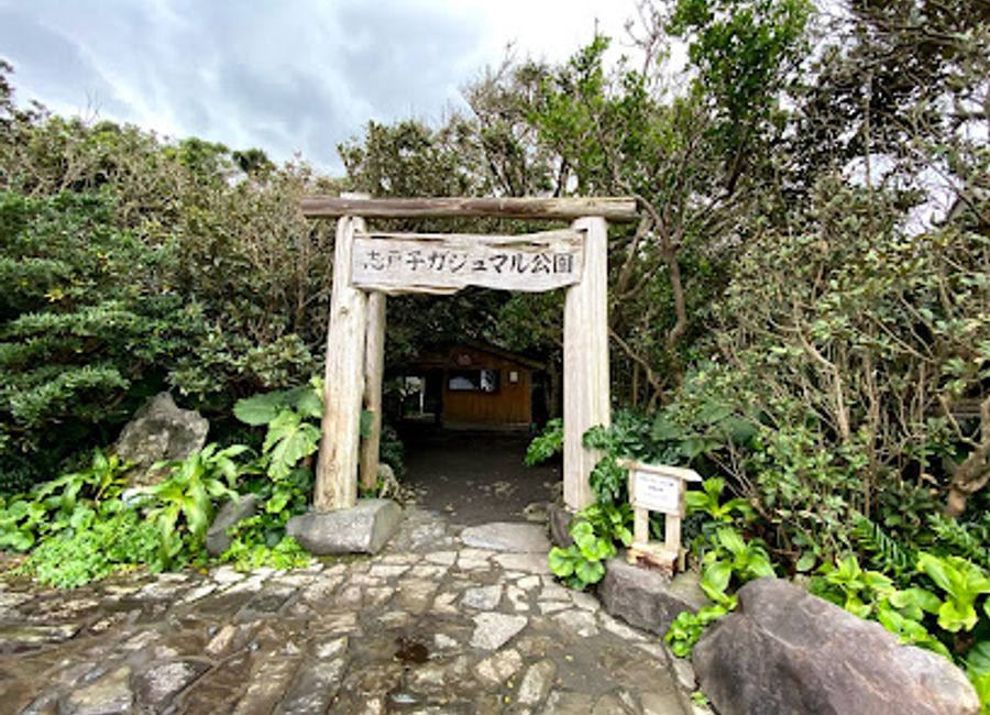Discover the tranquil beauty of Shitoko Gajumaru Banyan Park, a natural wonder in Yakushima featuring magnificent banyan trees and serene walkways.