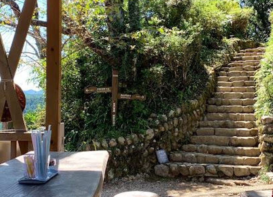 Experience tranquility and authentic Japanese tea culture at Fushiogami Teahouse in Tanabe, Wakayama, a perfect retreat for every traveler.