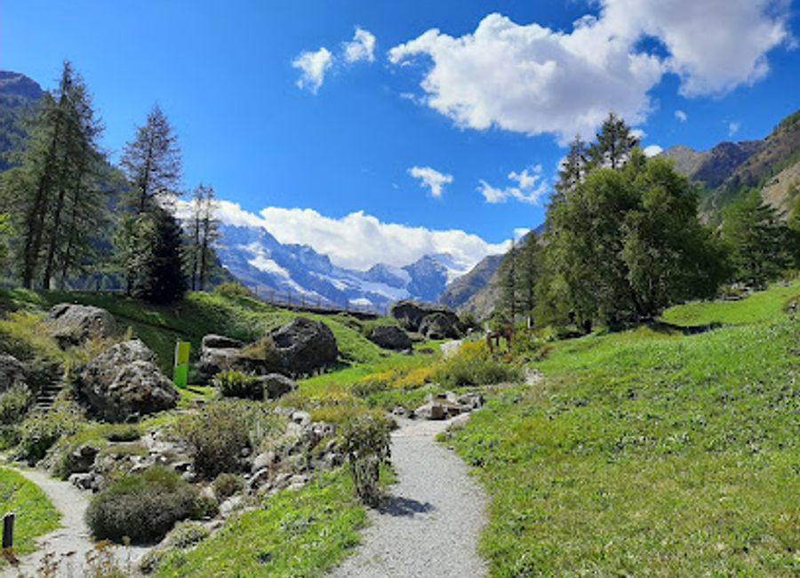 Experience the breathtaking landscapes and rich biodiversity of Fondation Grand Paradis in the heart of Aosta Valley, Italy.