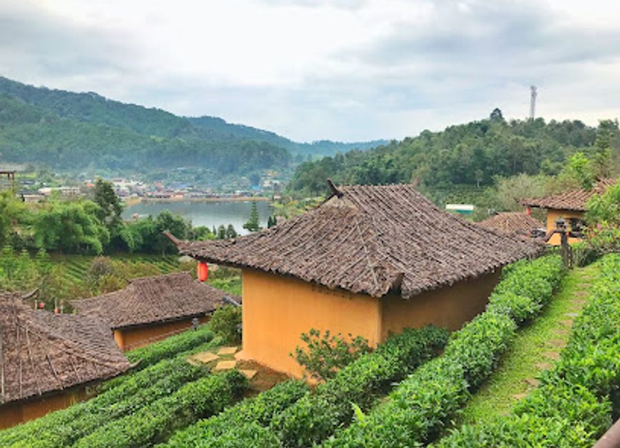 Discover the serene beauty of Ban Rak Thai, where lush tea plantations and rich culture await in the stunning mountains of Mae Hong Son.