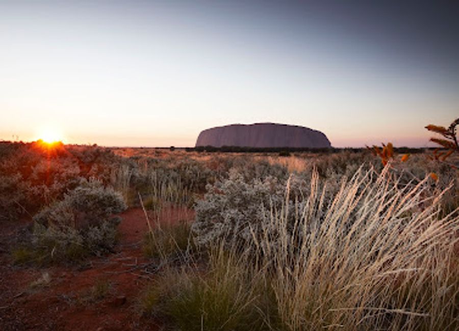 Discover the enchanting beauty of Uluru at dawn with Sunrise Journeys, a must-visit experience for every traveler in Australia's Outback.