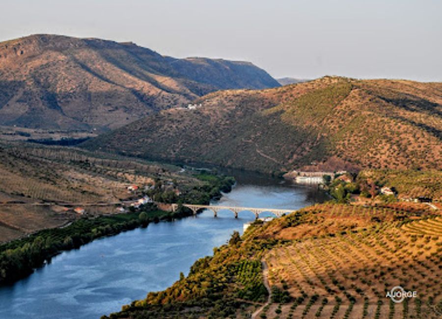 Explore the stunning landscapes and rich biodiversity of Parque Natural do Douro Internacional, a paradise for nature lovers and adventure seekers.