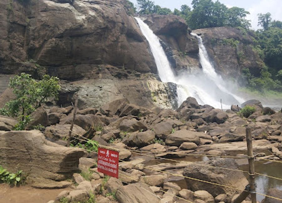 Discover the serenity of Alleppey Pine Forest, a hidden gem in Kerala perfect for nature walks, photography, and tranquil escapes.