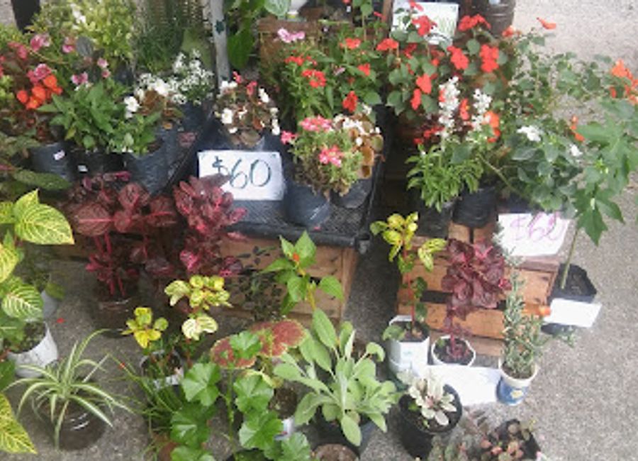 Experience Salta's vibrant nightlife and culture on Paseo de la Balcarce, a lively street filled with traditional music, food, and artisan crafts.