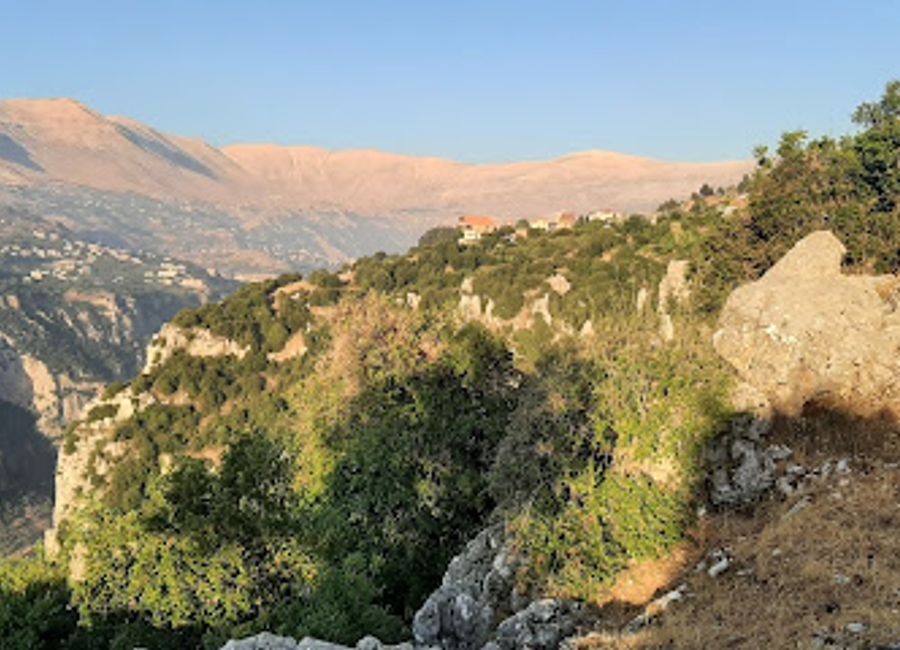 Explore the serene beauty of Les Jardins des Patriarches Maronites in Dimane, a tranquil garden oasis perfect for relaxation and nature appreciation.