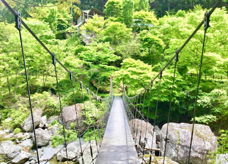 Discover the enchanting beauty of Amegaeri Waterfall in Tosa, a scenic spot that offers breathtaking views and tranquil nature experiences.