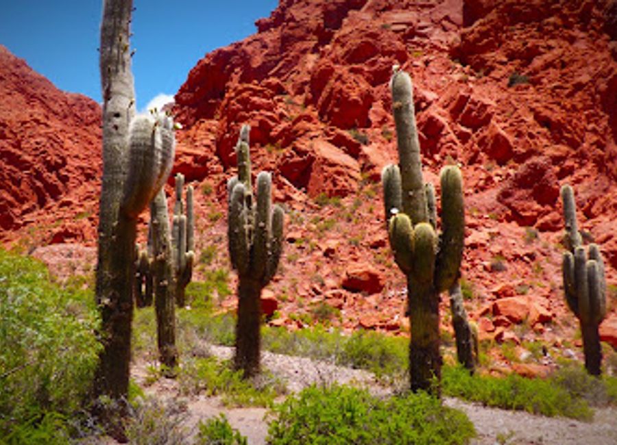 Discover the breathtaking rock formations and vibrant landscapes of Quebrada de las Señoritas in Jujuy, Argentina – a natural marvel waiting to be explored.