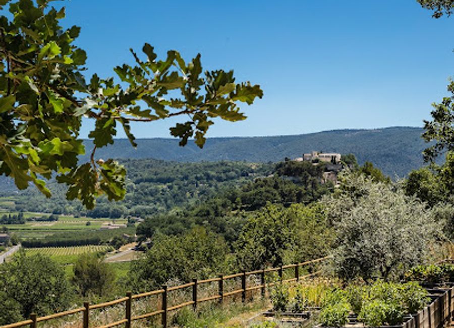 Discover Provence's botanical heritage at Jardin Botanique de la Citadelle in Ménerbes: a sensory journey through aromatic gardens, vineyards, and panoramic Luberon views.