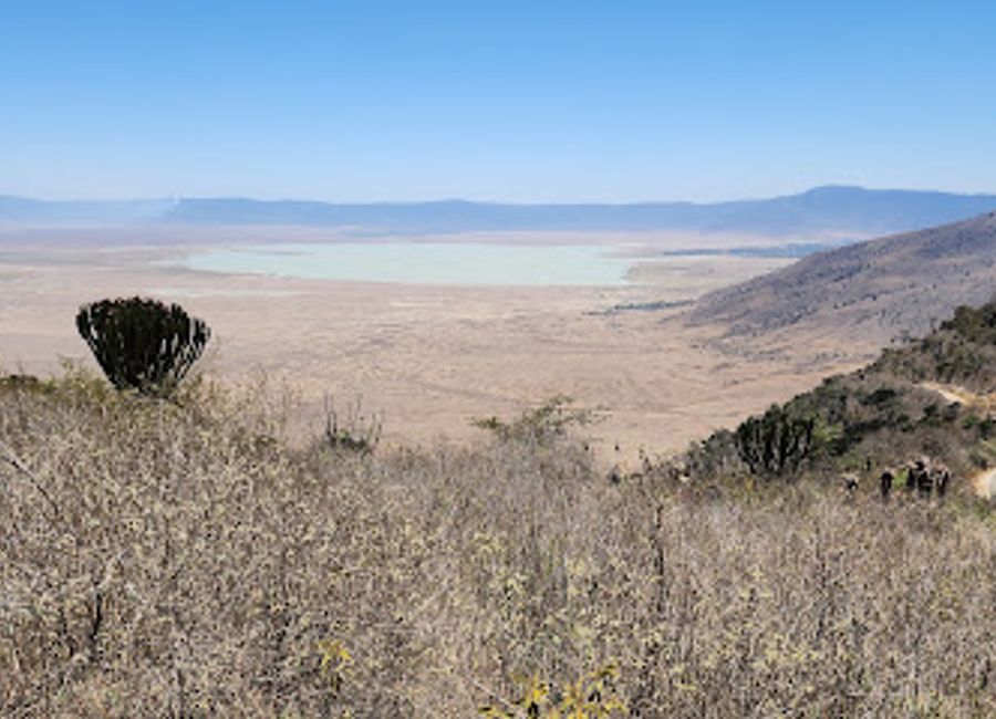 Explore the breathtaking Ngorongoro Crater, a UNESCO World Heritage site, rich in wildlife and stunning landscapes, just beyond the Ngorongoro Entrance Gate.