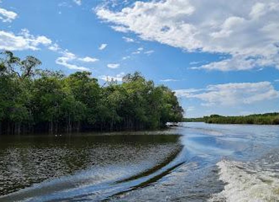 Explore the stunning Black River Safari Tours and immerse yourself in Jamaica's rich wildlife and breathtaking landscapes on this unforgettable eco-adventure.