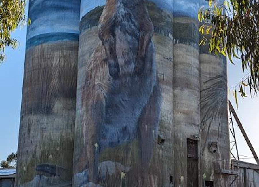Explore the captivating Kingscote Silo Art in South Australia, where vibrant murals celebrate local culture and wildlife in an outdoor gallery setting.