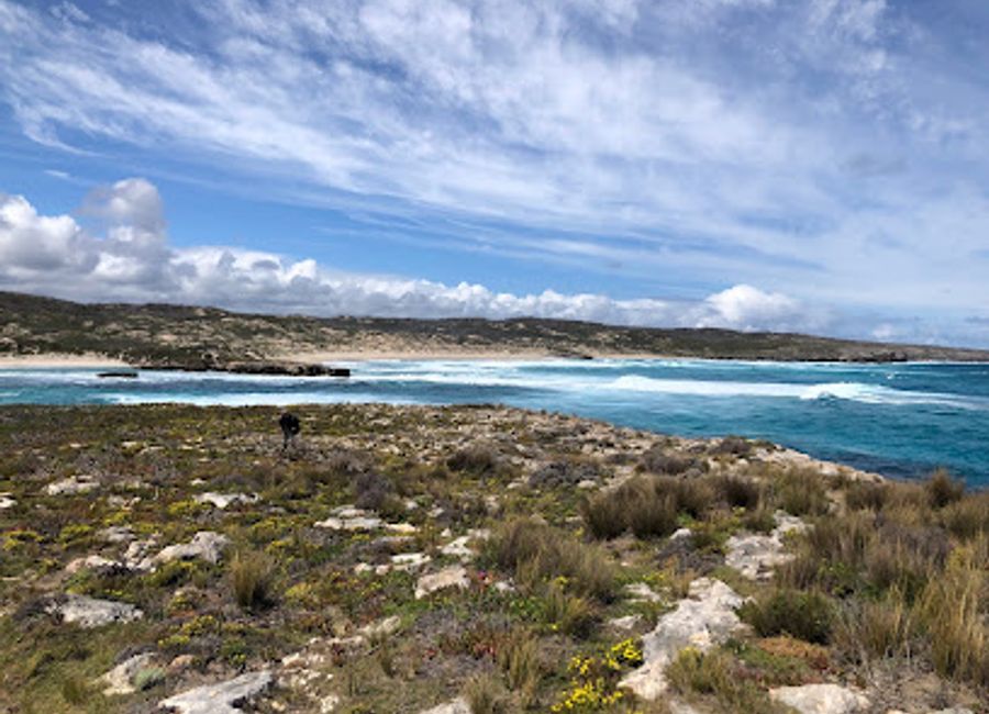 Experience the untouched beauty of Hanson Bay Beach, a serene nature preserve in South Australia, perfect for relaxation and wildlife encounters.